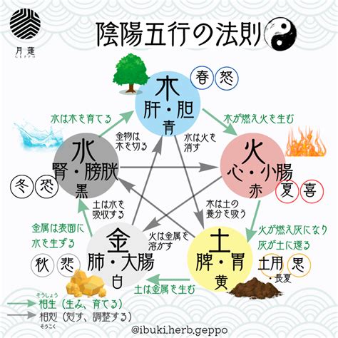 五行判定|陰陽五行チェック